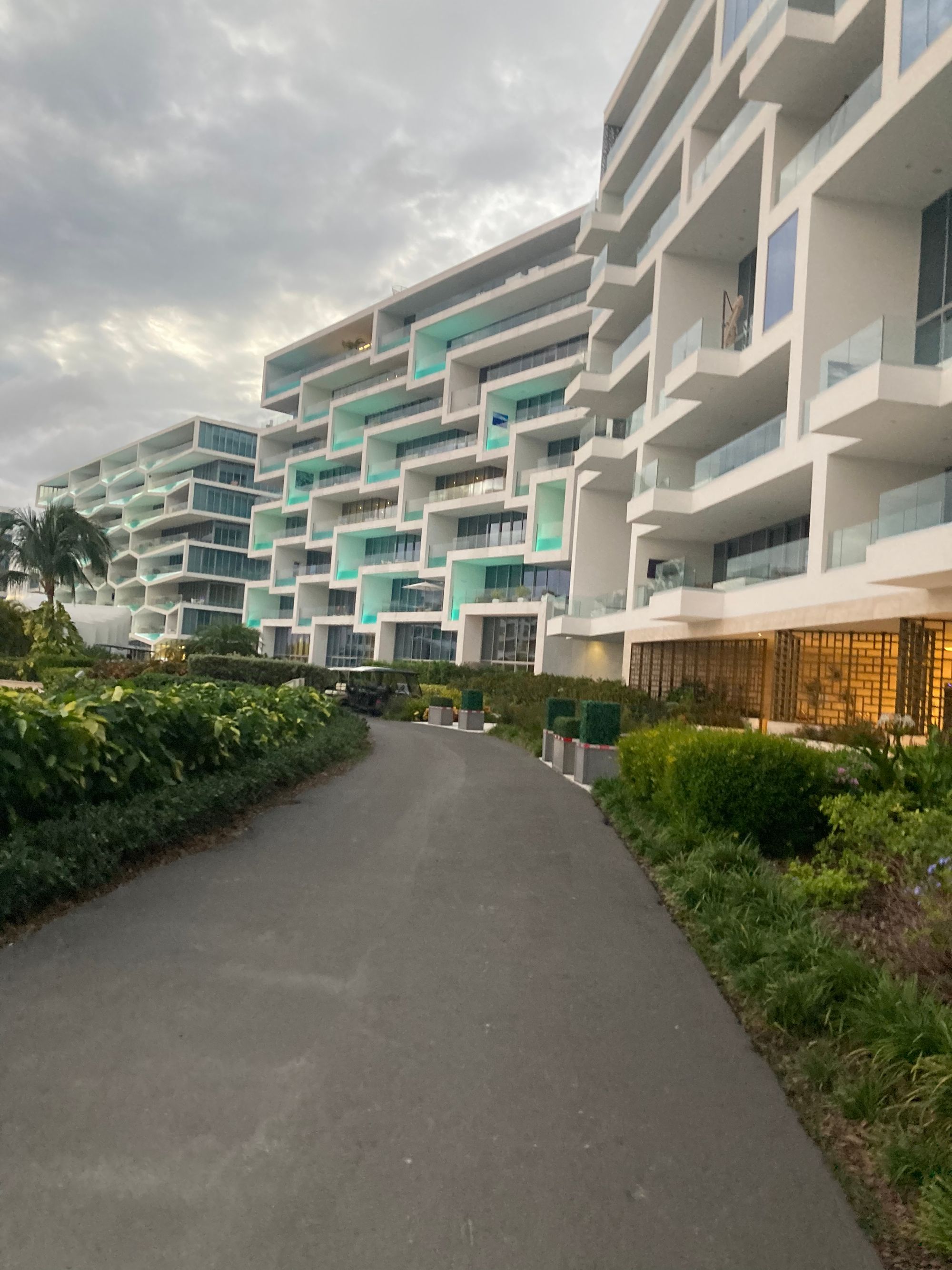 Dispatch From The Bahamas FTX Mayhem dispatch-from-the-bahamas-ftx-mayhem