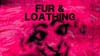 Fur & Loathing: The Unsolved Mystery of an Attack on Furries