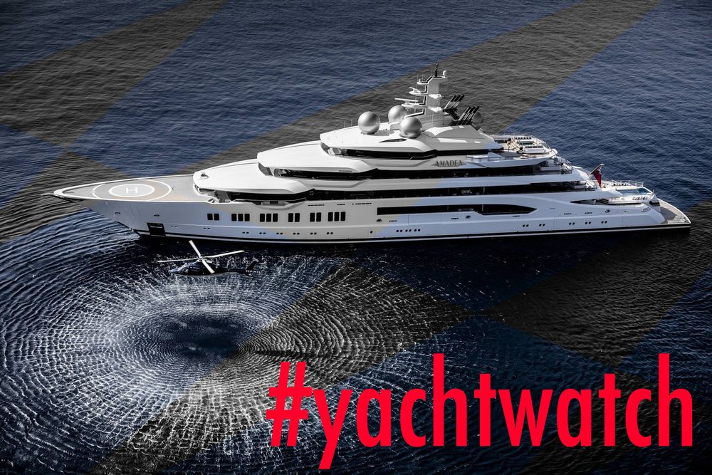 Yacht Hunting is the Best Sport