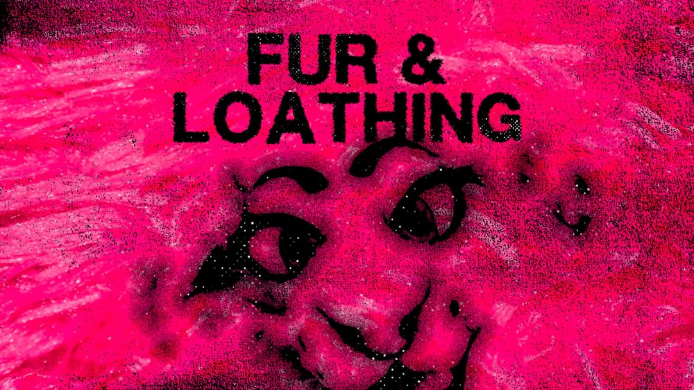 Fur & Loathing: The Unsolved Mystery of an Attack on Furries